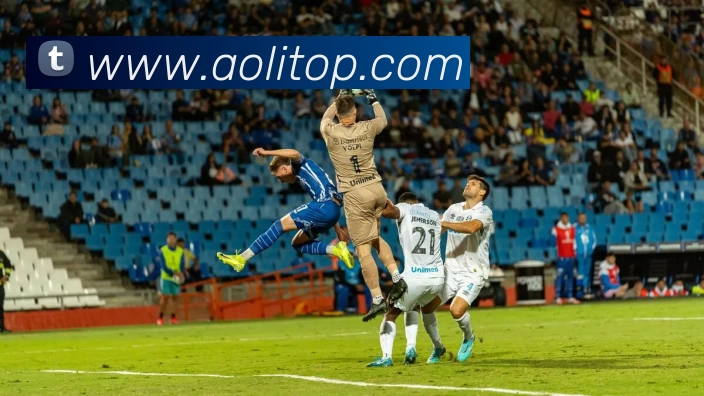 多媒体互动体验